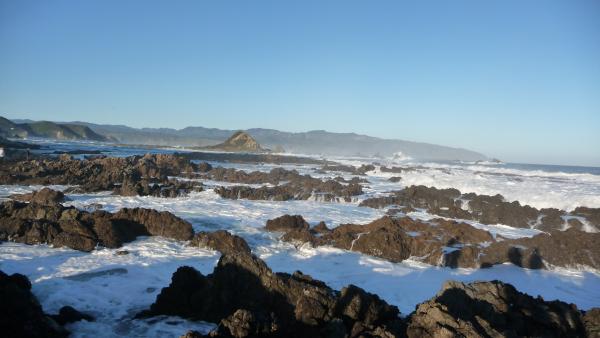 Teil der Island Bay Kueste